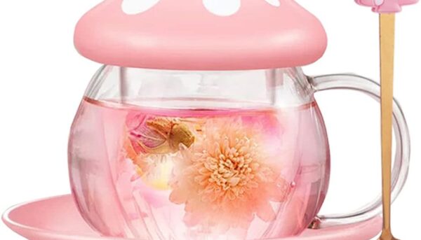 Mushroom Tea Cup Set, Cute Glass Tea Cups and Saucers, Kawaii Tea Cup with Infuser for Loose Leaf Tea Steeper, Coffee Mug Christmas Gifts for Women, Tea Infuser Mug with Lid for Mother Girls (Pink)