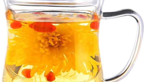 CNGLASS Glass Tea Cup with Removable Infuser and Lid,10oz Thickened Glass Infuser Mug,Borosilicate Glass Mug for Loose Leaf Tea,Teabags