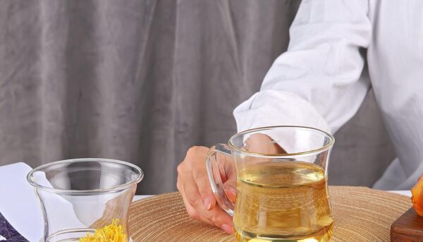 Alternative view of CNGLASS Glass Tea Cup with Removable Infuser and Lid,10oz Thickened Glass Infuser Mug,Borosilicate Glass Mug for Loose Leaf Tea,Teabags