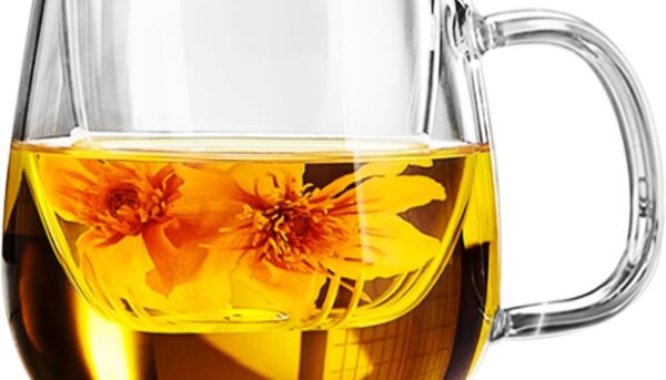 Dinana Large Tea Cup/Mug with Infuser and Lid, Borosilicate Glass Mugs for Loose Leaf Tea, Great Loose Tea-leaf Brewing System, 500ml (17oz)