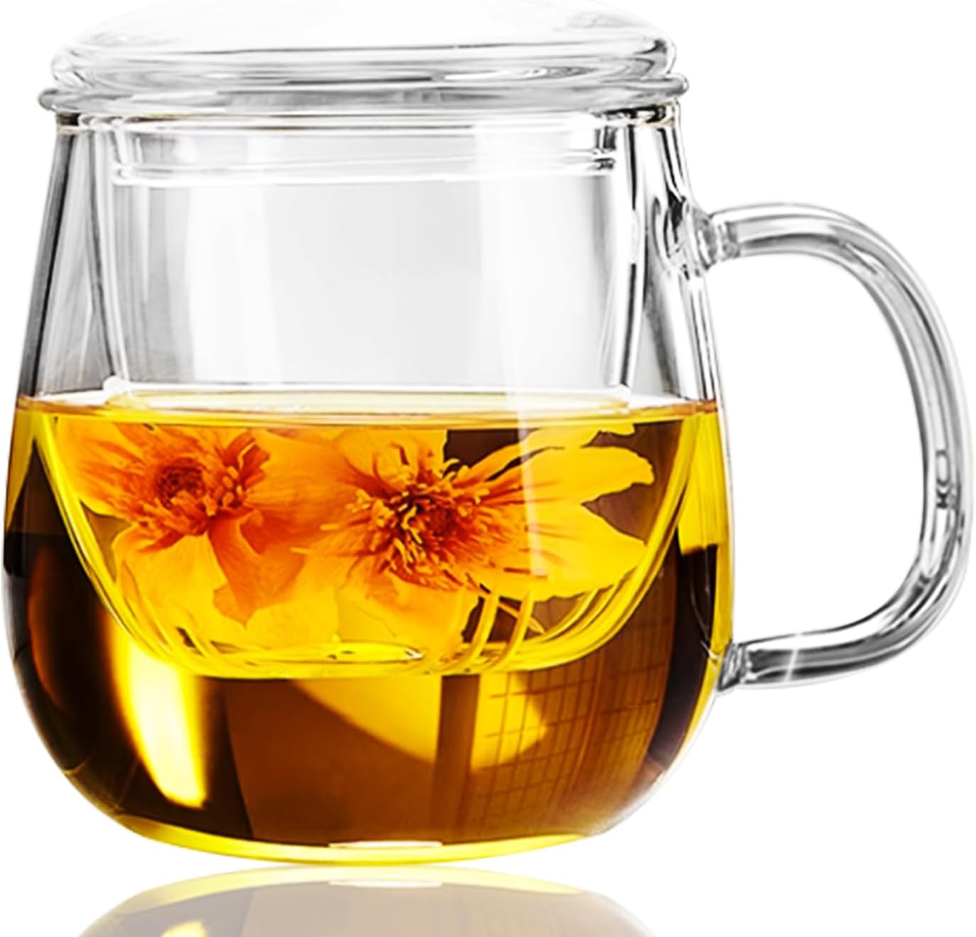 Dinana Large Tea Cup/Mug with Infuser and Lid, Borosilicate Glass Mugs for Loose Leaf Tea, Great Loose Tea-leaf Brewing System, 500ml (17oz)