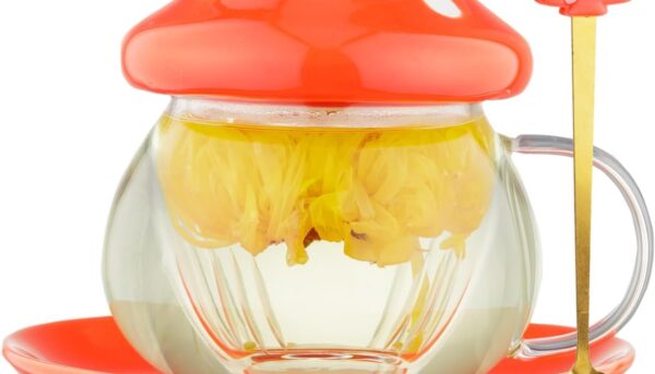 Mushroom Tea Cup Set, Cute Glass Tea Cups and Saucers, Kawaii Tea Cup with Infuser for Loose Leaf Tea Steeper, Coffee Mug Christmas Gifts for Women, Tea Infuser Mug with Lid for Mother Girls (Orange)